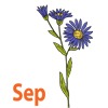 swatch image style