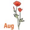swatch image style