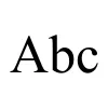 Times New Roman
