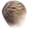 Man hairstyle 5_item_1