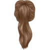 High ponytail - brown