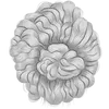 Curly bun - grey
