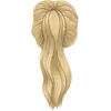 High ponytail - blonde