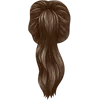 High ponytail - dark brown