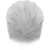 Short 4 - White