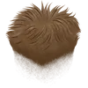 Short 1 - Brown