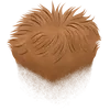 Short 1 - Ginger