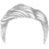 Hairstyle 2_item_8