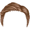 Hairstyle 2_item_5