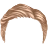Hairstyle 2_item_3