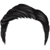 Hairstyle 2_item_1
