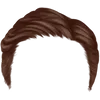 Hairstyle 2_item_4