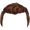 Hairstyle 1_item_4