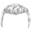 Hairstyle 1_item_8