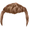 Hairstyle 1_item_5