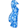 v1