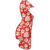 v2