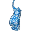 h1