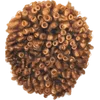 36