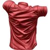 T (11)