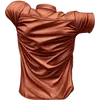 T (2)