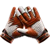  (5)