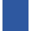 1 (19)
