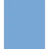 1 (10)
