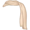 khăn1