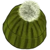 h5