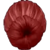 5 (4)