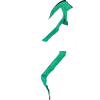 009