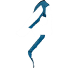 007