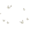 3 fr