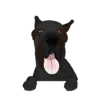 Great Dane 5