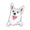 Husky 5