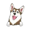 Husky 8