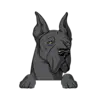 Great Dane 7
