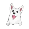 Husky 9