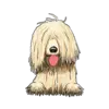 Komondor 2