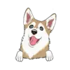 Husky 4