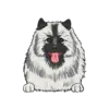 Keeshond 1