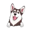 Husky 7