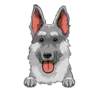 German Shepherd 2