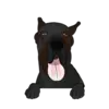 Great Dane 5