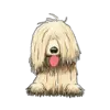 Komondor 2