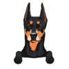 German Pinscher 1