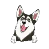 Husky 3