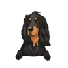 Gorden Setter