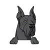 Great Dane 7